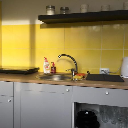 Apartamenti Zirnis 采西斯 外观 照片