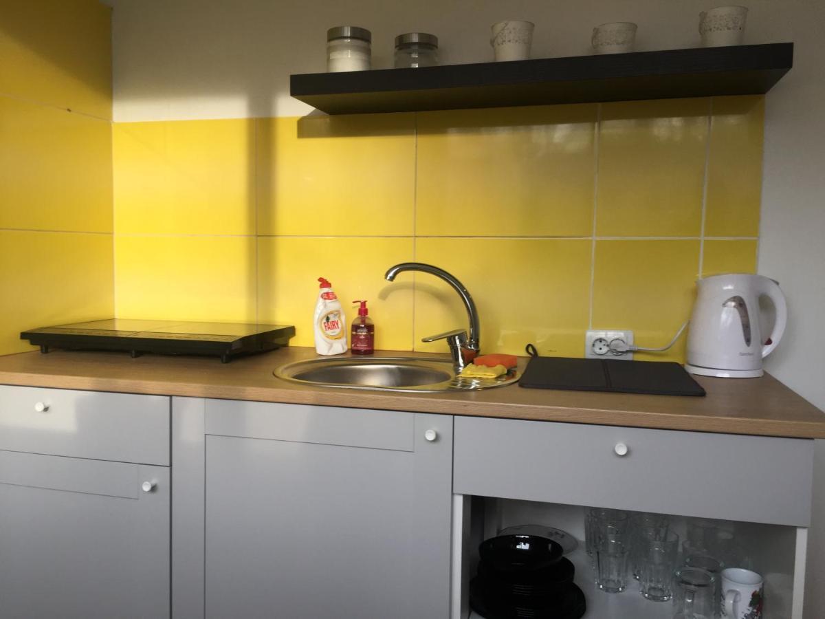 Apartamenti Zirnis 采西斯 外观 照片