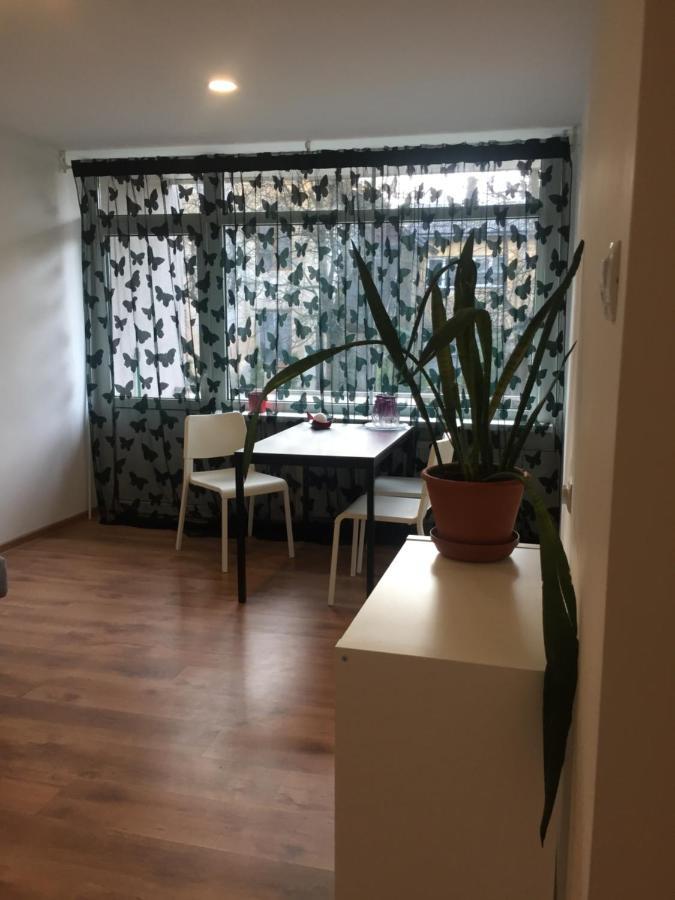Apartamenti Zirnis 采西斯 外观 照片