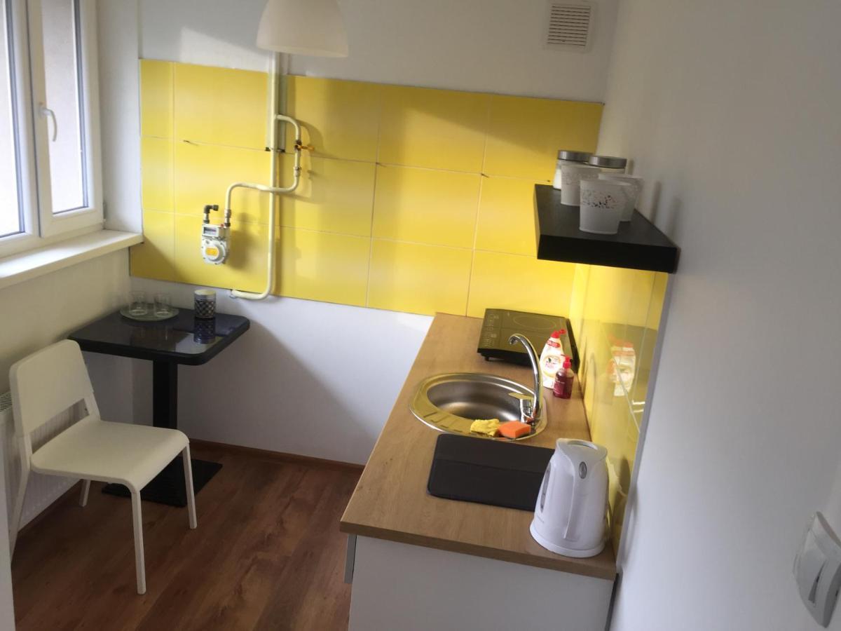 Apartamenti Zirnis 采西斯 外观 照片