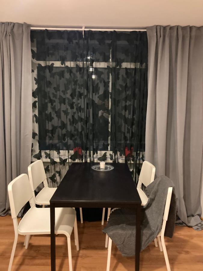 Apartamenti Zirnis 采西斯 外观 照片