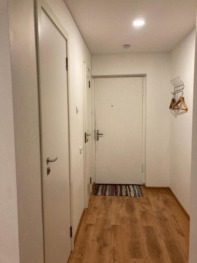 Apartamenti Zirnis 采西斯 外观 照片