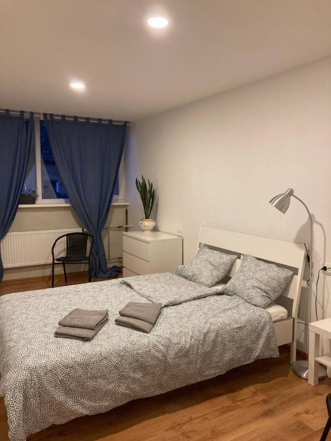 Apartamenti Zirnis 采西斯 外观 照片