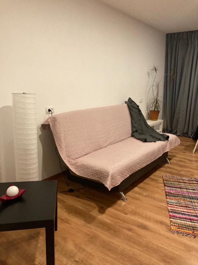 Apartamenti Zirnis 采西斯 外观 照片