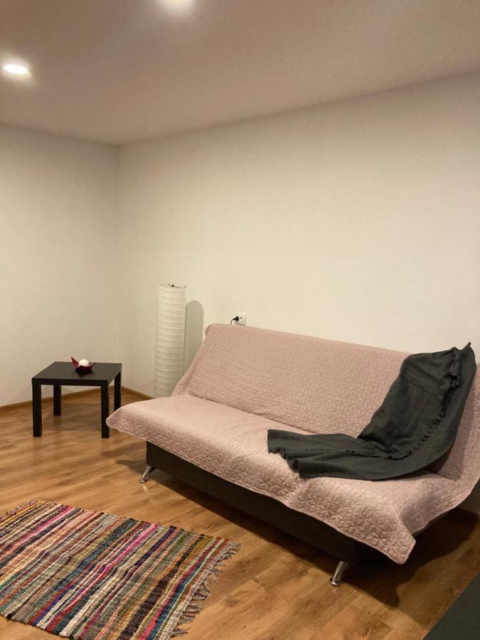 Apartamenti Zirnis 采西斯 外观 照片